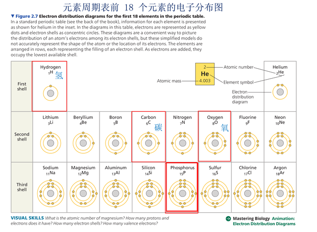 常用英文名字，酒店常用英文名字（认识9百个拉丁语常用字拥抱科技创新）