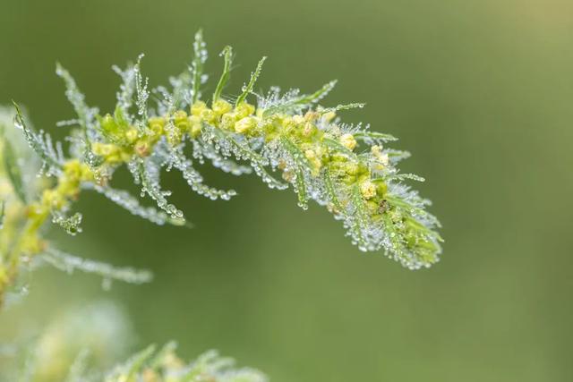 形容晚上的词语，形容晚上天气好的词语（白露暧秋日，月明清漏中）