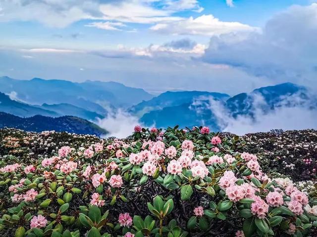 螺髻山九十九里温泉，螺髻山九十九里温泉门票优惠（美食媲美乐山）