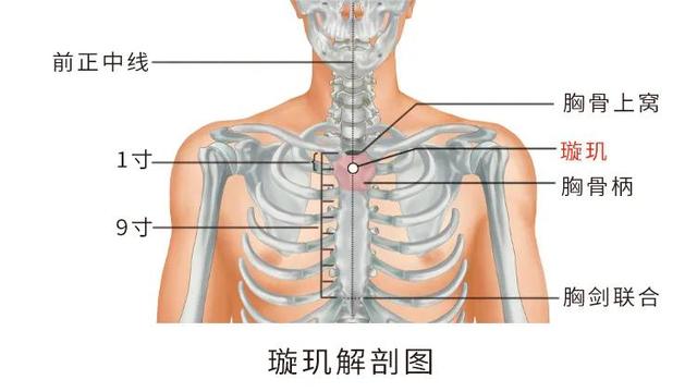 一分钟快速止咳小妙招，一分钟快速止咳小妙招有哪些（按一个穴位止咳）