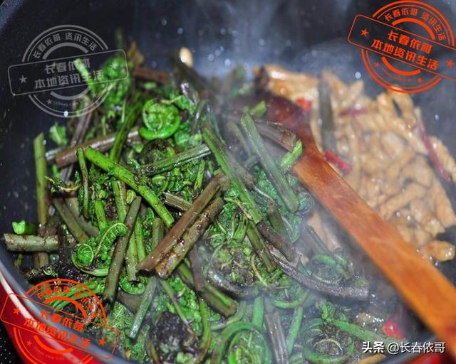 东北野生野菜有哪些，长白山中山野菜——猴子腿