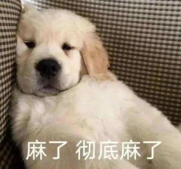 来姨妈能吃巧克力吗，来姨妈可以吃巧克力吗（有哪些来姨妈不能做的事）