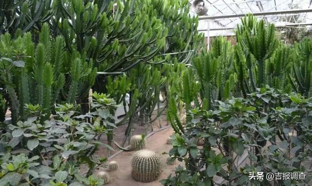 长白山旅游景点，长白山旅游景点门票（长白山这些冬游最佳目的地不能错过）