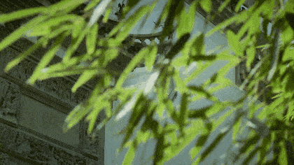 白噪音的危害，长期听白噪音的危害（白噪音可以助眠，是真的吗）