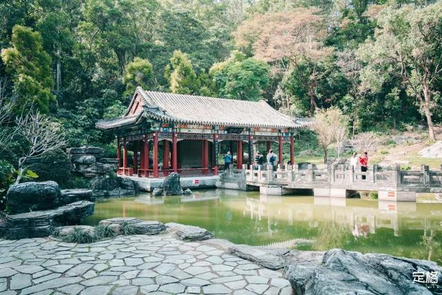 深圳好玩的免费景点，深圳哪里好玩的景点（来深圳这10个地方免费玩）