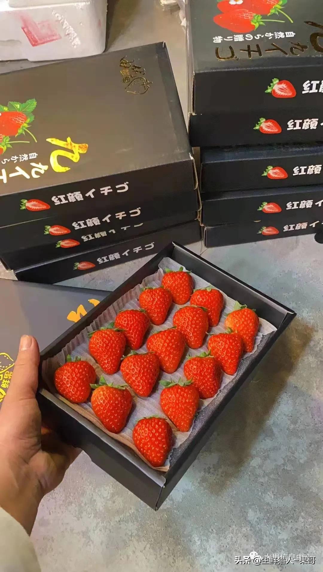 浆果是什么，浆果是什么软件（不同水果的不同包装<浆果篇>）