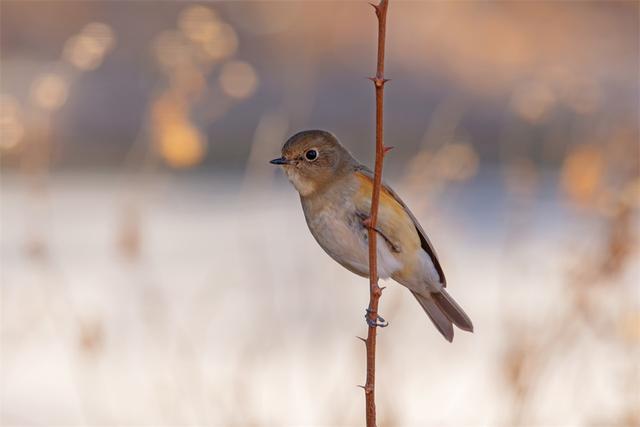 别人不尊重你你要怎样对待，当别人不尊重你时怎么办（看看职场高手怎么做的）
