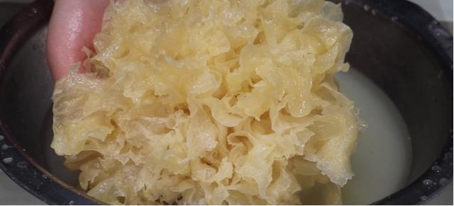 银耳泡多长时间最好，银耳要泡多长时间才是最正确的（别只是放清水了）