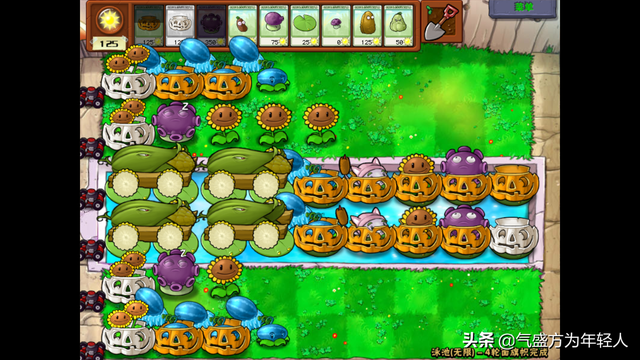 植物大战僵尸无尽版攻略，植物大战僵尸无尽版攻略秘籍（植物大战僵尸最佳阵型分析）