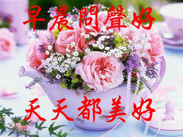 未来可期的唯美句子，未来可期下一句怎么接（早安祝您安康快乐）