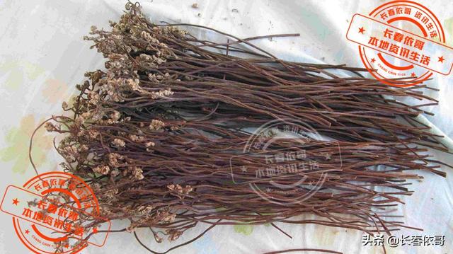 东北野生野菜有哪些，长白山中山野菜——猴子腿