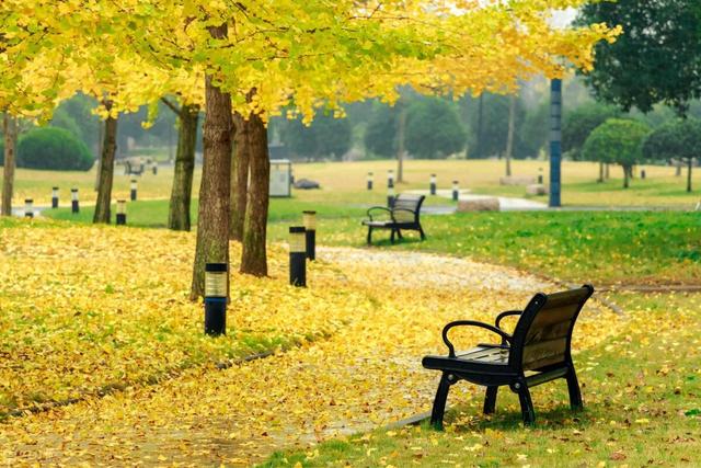 我最喜欢的水果 英语作文，我最喜爱的水果英语作文（写一篇短文。你学会了吗）