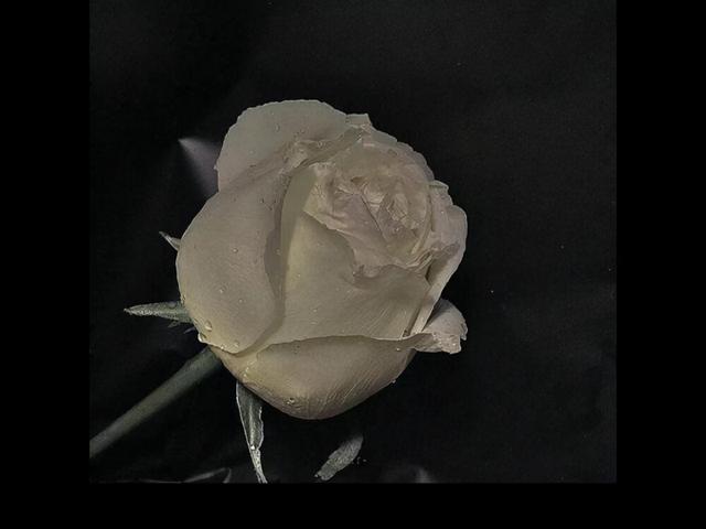 水瓶座是什么性格的人，水瓶座的人是什么性格的人（往往很少有人进来）