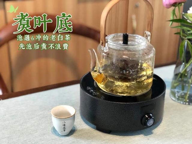 盖碗适合泡什么茶，玻璃盖碗适合泡什么茶（哪个才是适合白茶的方法）