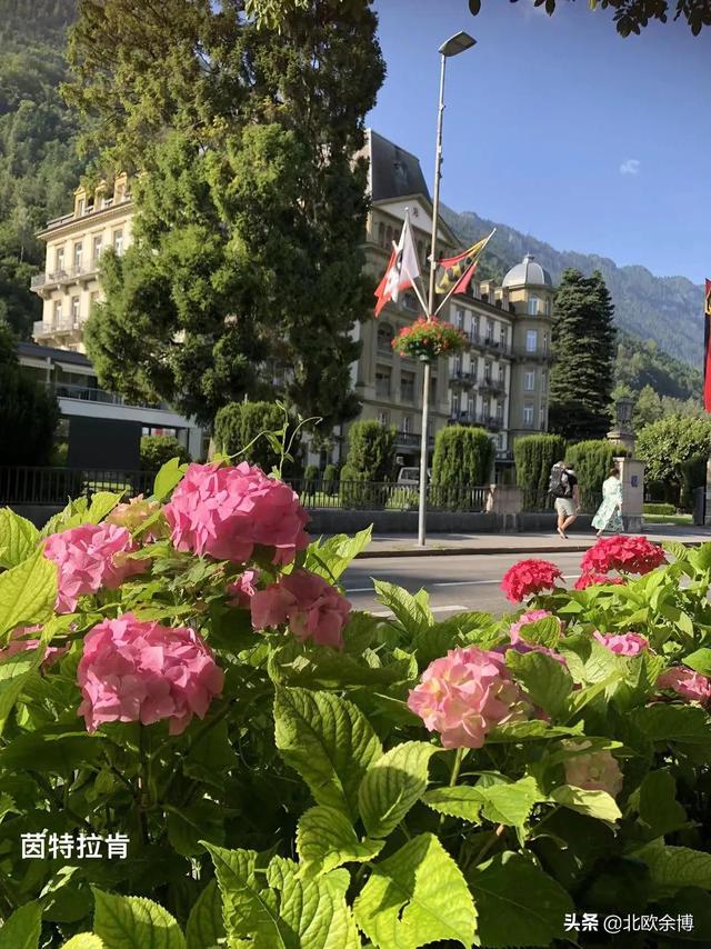 欧洲哪个国家的自然风景最美，欧洲自然风光最美的国家（瑞士最美小镇：茵特拉肯）