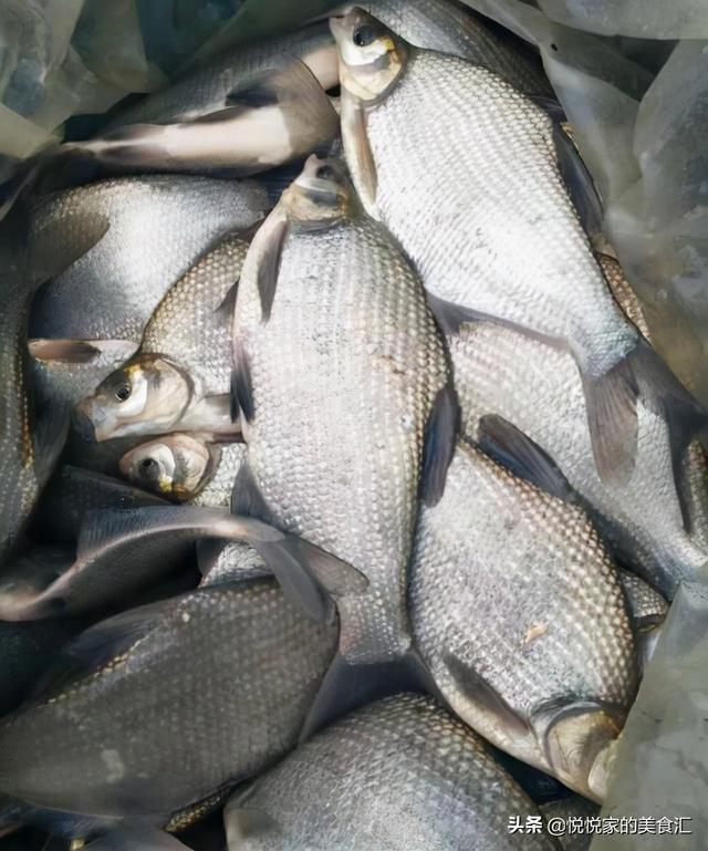 鳊鱼刺多吗，鳊鱼和鲈鱼哪个营养价值更高（鱼贩：不是行家就是吃货）