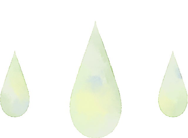 蜱虫是什么，可致命：夏季出游当心此虫（蜱虫是什么样的毒虫）