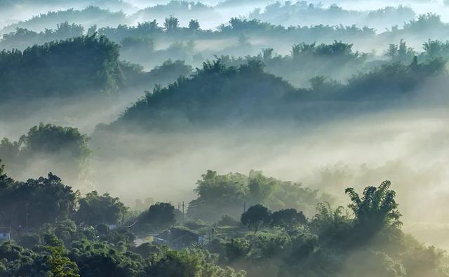 重庆仙女山景点介绍，重庆仙女山有哪些景点值得去（一个美得不可方物的人间仙境）