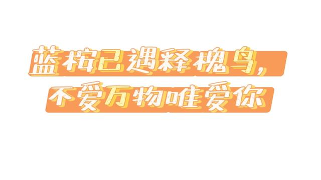 蓝桉的花语是什么，蓝桉的寓意和象征（蓝桉已遇释槐鸟是什么意思）