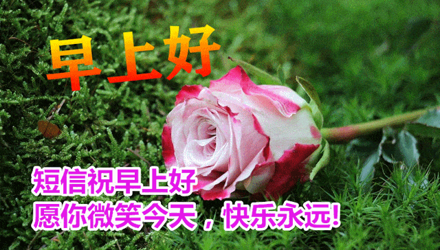 祝福全家的祝福语，2022年春节祝福语全家（直接群发家人朋友的早安祝福语精选大全）