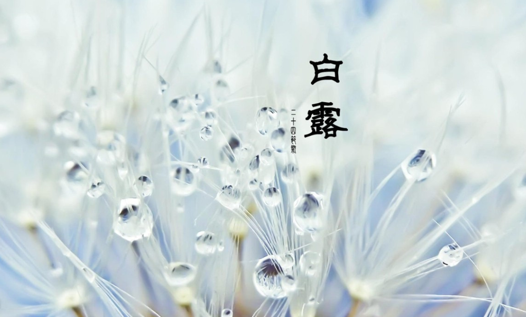 白露时节养生图(白露之后如何养生)