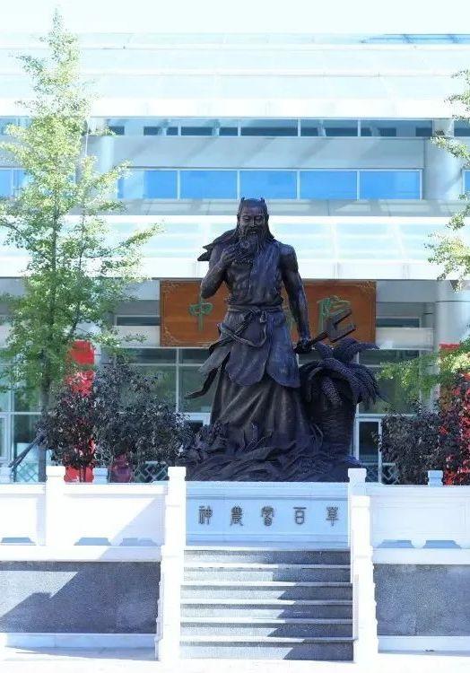 如何学好中医学，如何学好中医学作文（北京中医药大学2022年招生政策亮点及报考要点）