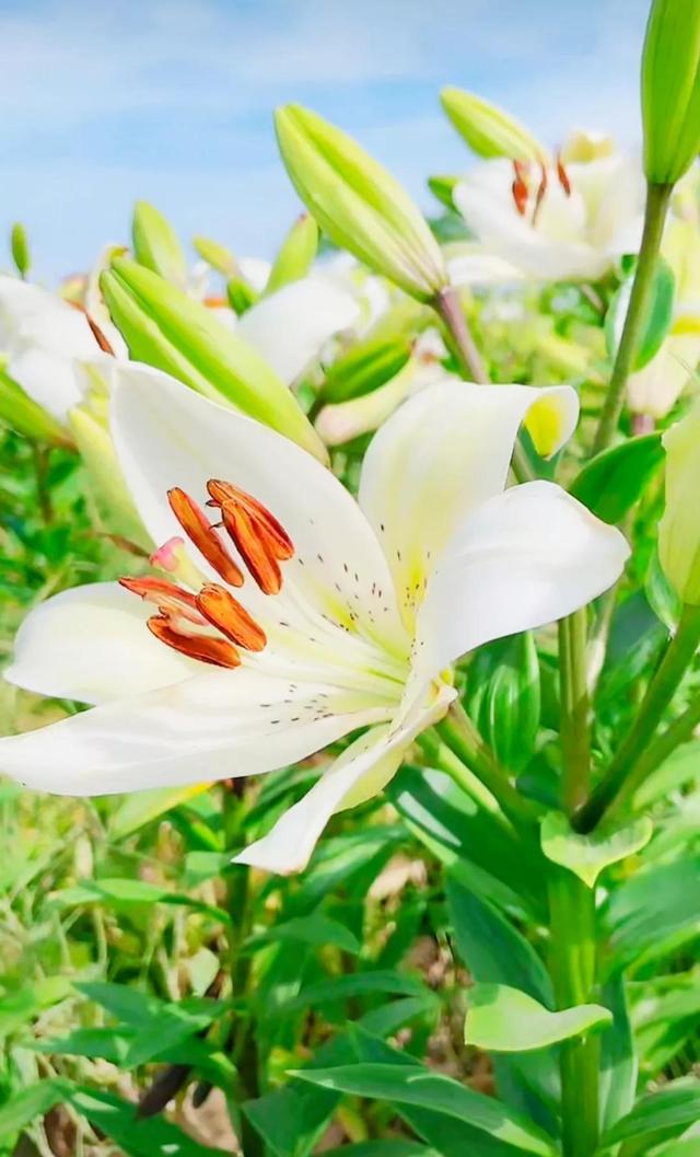 努力的意义是什么，努力的意义是什么图片（女人努力的意义是什么）