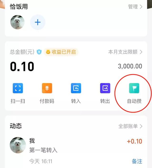 支付宝如何弄情侣一起存钱，情侣怎么一起存钱（支付宝推出“海王”模式）