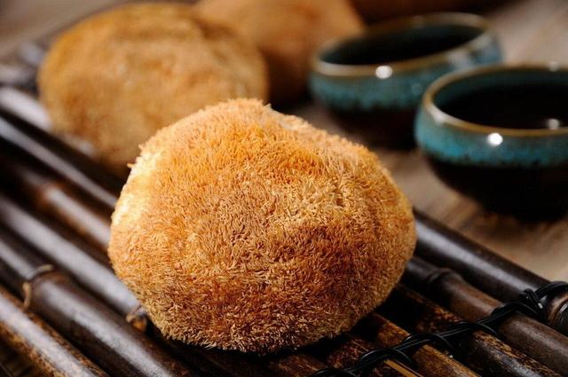 食用菌菇类十大排名，十大最好的菌菇排名是什么（盘点世界上最贵的菌菇）