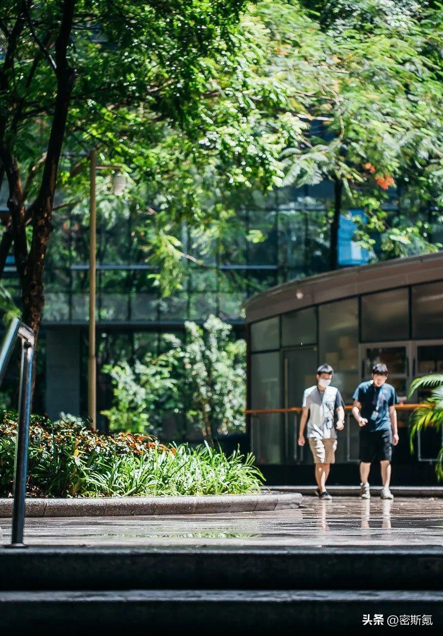 深圳市有几个区(深圳市南山区有几个街道)