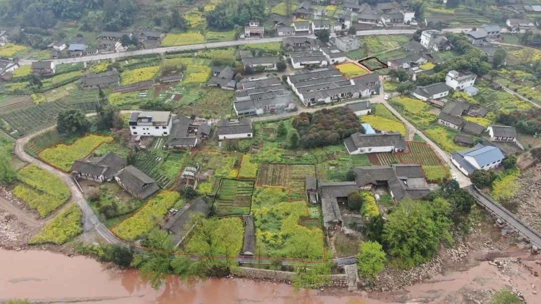 农业投资项目(特色农业种植项目介绍)