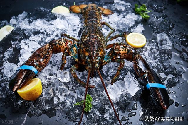 波士顿龙虾到底好吃不，经典美国本土美食