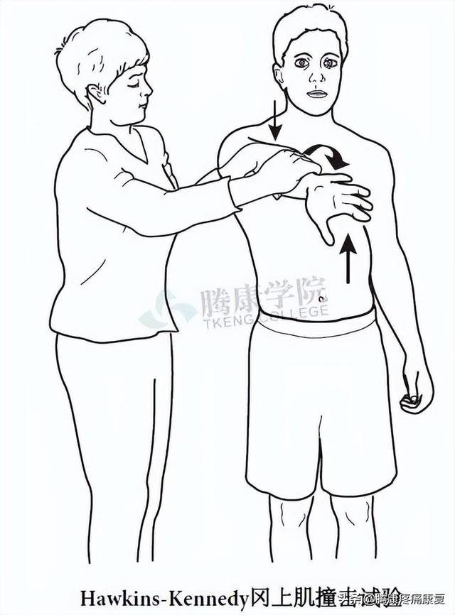 biceph，肩关节的特殊检查（bicep curl）