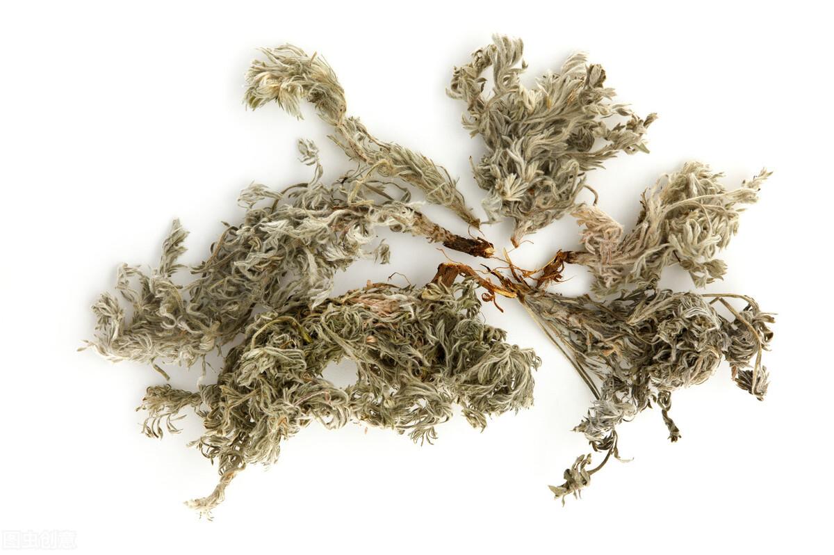 茵陈图片中药,中药绵茵陈的图片 - 珍缘易学