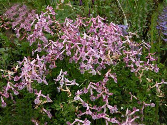 国家地理标志保护产品，黑龙江省十大著名国家地理标志保护产品是什么（江西的国家知识产权局认定的国家地理标志保护产品）