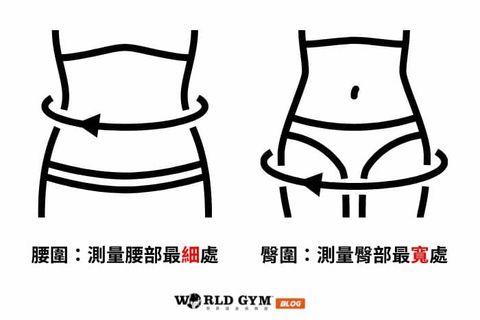 人体黄金比例公式，人体黄金比例（人体黄金比例身高）