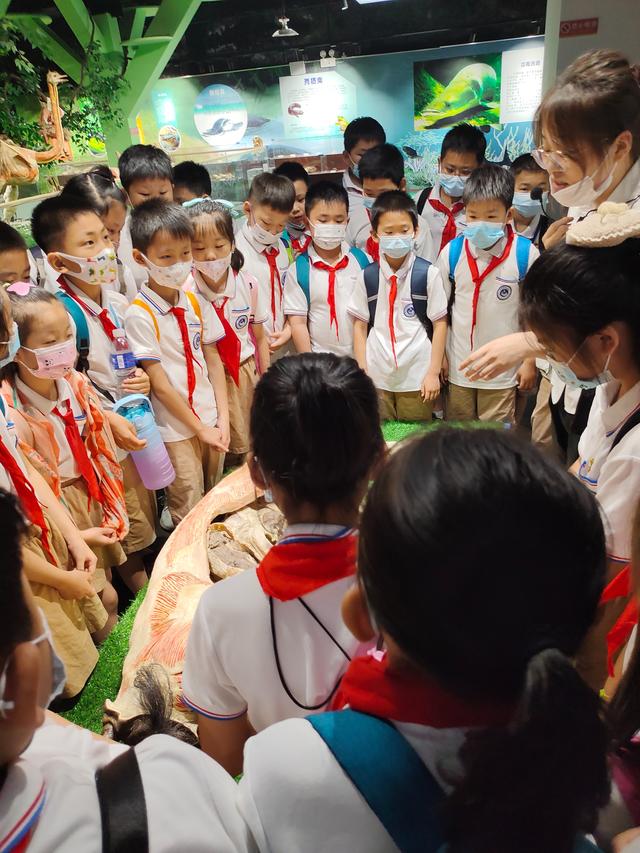 伏羲山大峡谷的主要景点，伏羲山大峡谷景区一日游攻略（打卡郑州必去6大山水景点）