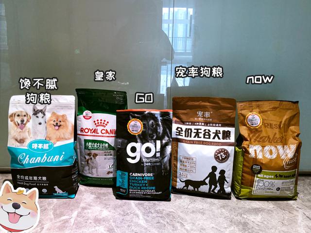 扒拉我是什么意思，东北话扒拉我是什么意思（为何狗狗经常用手“扒拉”我）