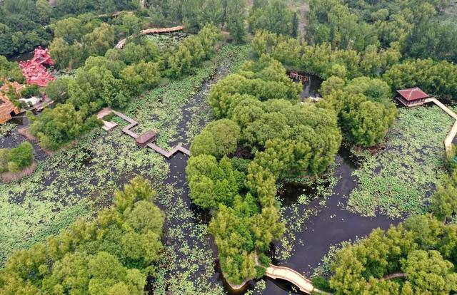 七八月份最适合旅游的地方，7-8月最适合旅游的地方（探索天地间的五光十色）