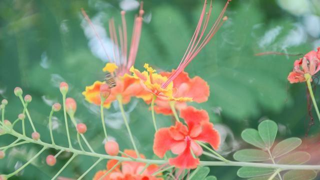 金巴兰海滩的地址在哪里，巴拉湾海滩在哪里（巴厘岛绝美海滩太多了）