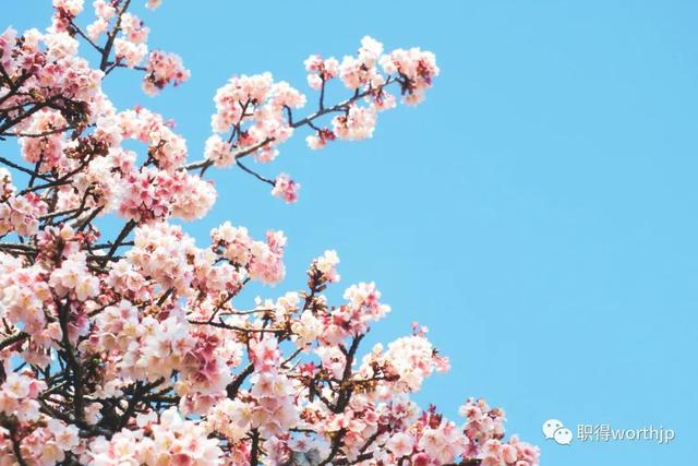 东京 英文，东京的英文（东京，一座街道没有名字的城市）