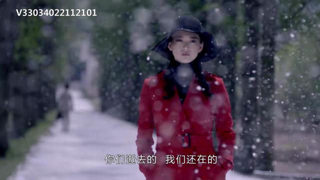 最新反特电视剧，好看的十部谍战电视剧最新（40集谍战剧《蝶影》来了）