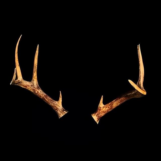 生化危机4攻略，生化危机4秘籍大全（生化危机4重制版通关奖励攻略）