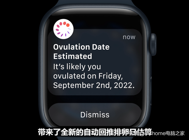 苹果手表可以打电话吗，苹果手表怎么打电话（2999元起支持车祸检测）