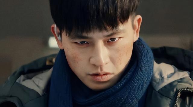 蔡乙嘉演过的电视，蔡乙嘉演过的电视剧大全（3部大剧空降央视）