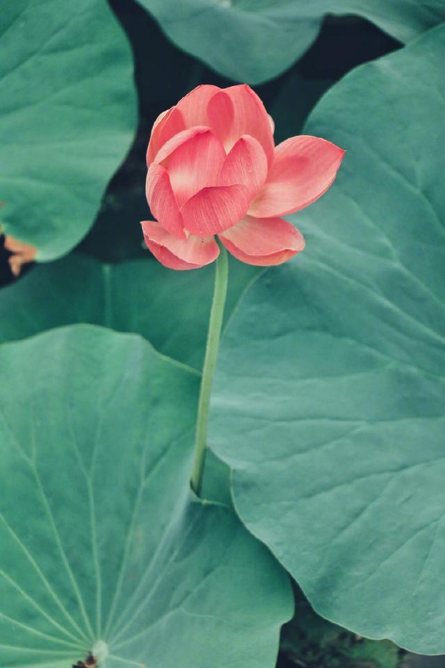 比较有道理的句子，十分有道理的句子（21条富含人生感悟的说说）