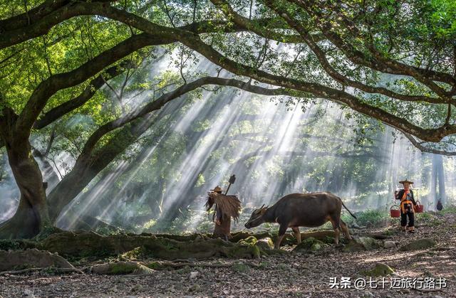 福建有哪些地方，福建景点有哪些地方（附：20天大环线自驾游路线）