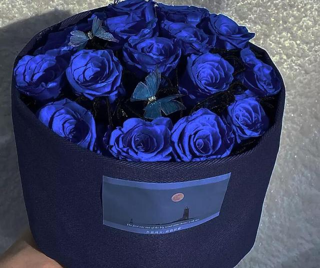 一朵红玫瑰花代表什么意思，红玫瑰代表什么意思（不同颜色玫瑰花的花语）