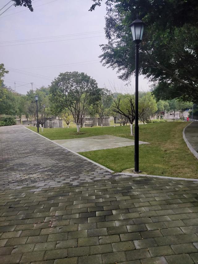 歌乐山森林公园，重庆旅游必去景点（歌乐山国家森林公园）