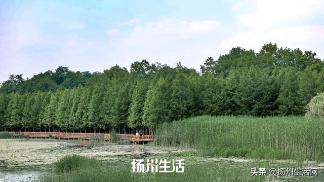 扬州历史文化景点，扬州最容易被忽视的古城遗址